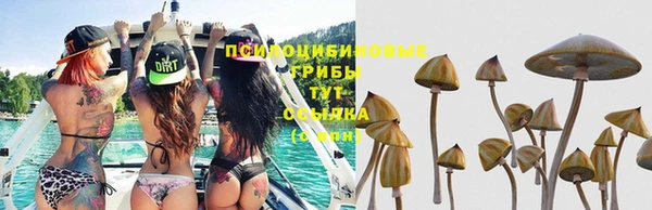 ешки Алексин