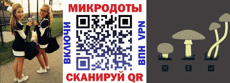 закладка  Никольское  МЕГА ONION  Псилоцибиновые грибы мицелий 